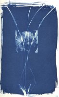 Cyanotype