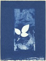 Cyanotype